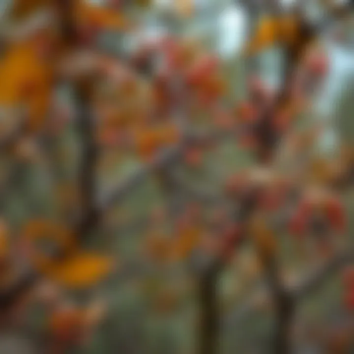 Role of Leaf Nodes in Binary Search Tree Traversal and Search Visual representation of binary search tree traversal showing how leaf nodes mark endpoints during search operations