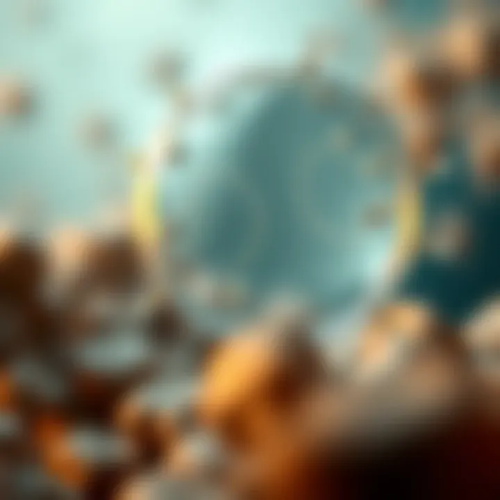 Diagram illustrating the stages of binary fission in a bacterial cell