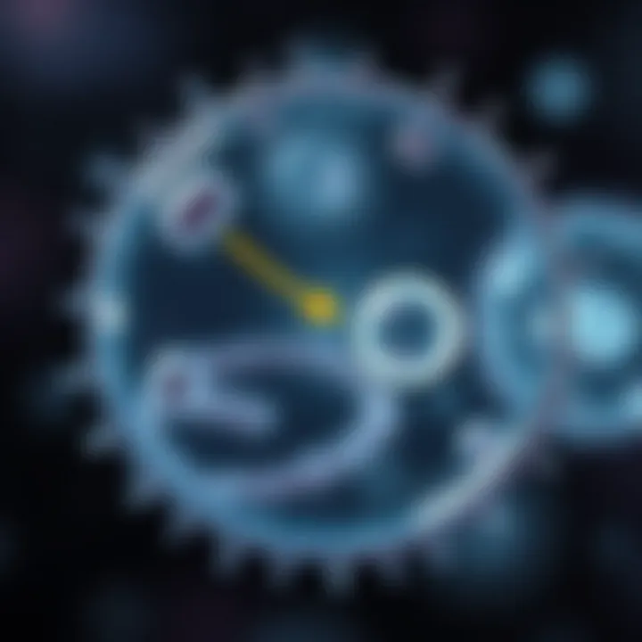 Diagram showing the stages of binary fission in a bacterial cell with DNA replication and cell division