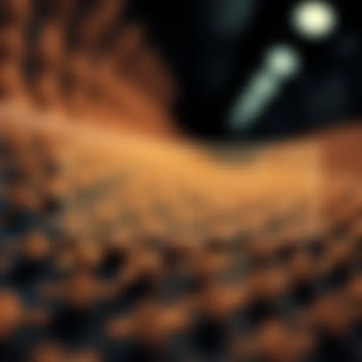 Diagram illustrating binary search algorithm halving the search range on a sorted array